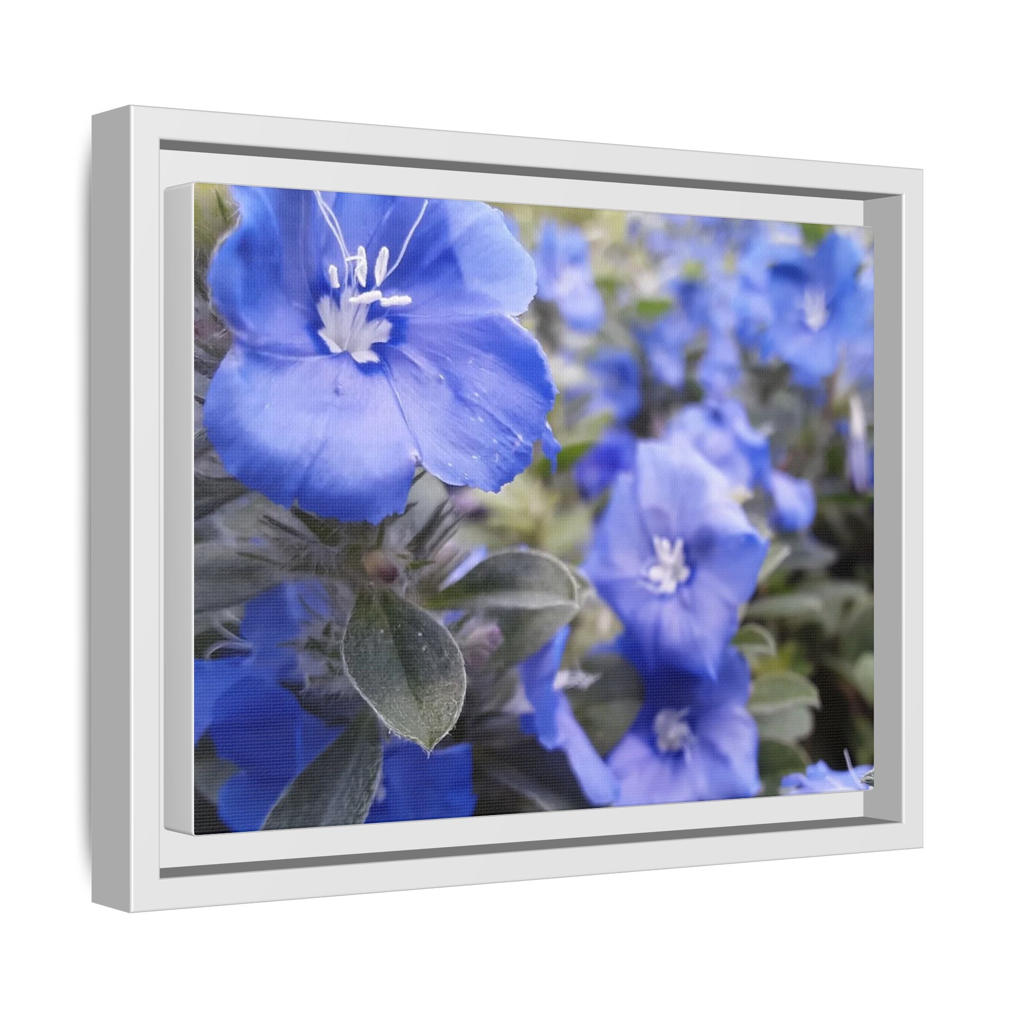 Framed Blue Floral Matte Canvas Wall Art — Vibrant Botanical Photography Print