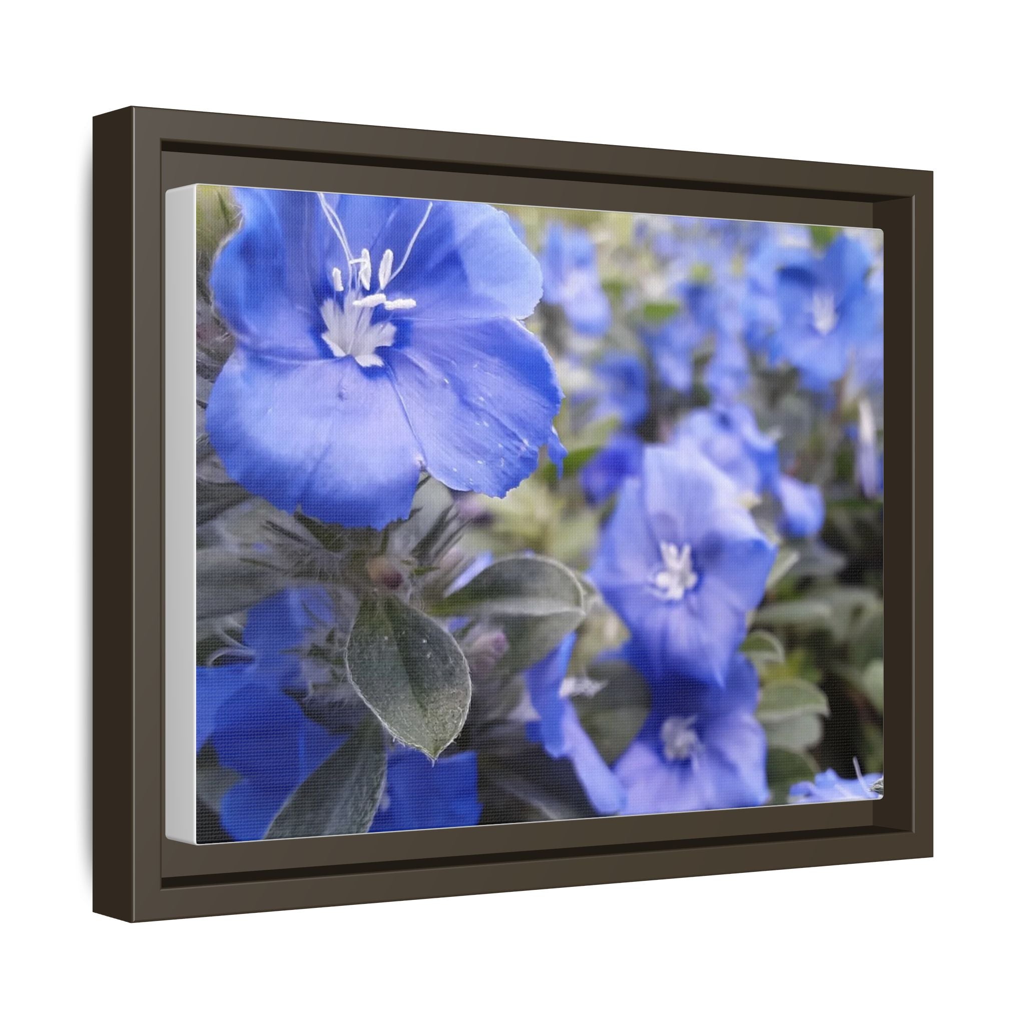 Framed Blue Floral Matte Canvas Wall Art — Vibrant Botanical Photography Print