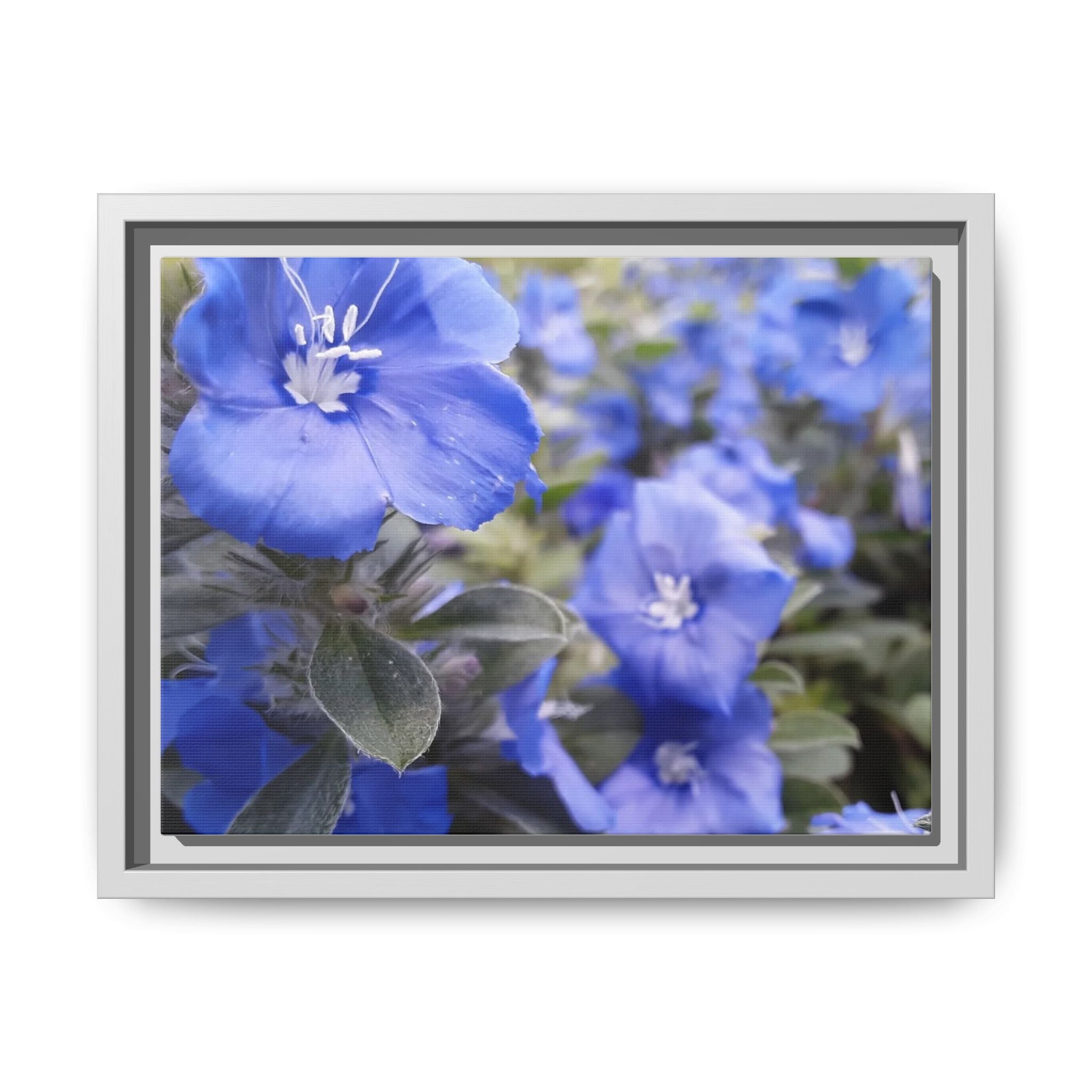 Framed Blue Floral Matte Canvas Wall Art — Vibrant Botanical Photography Print