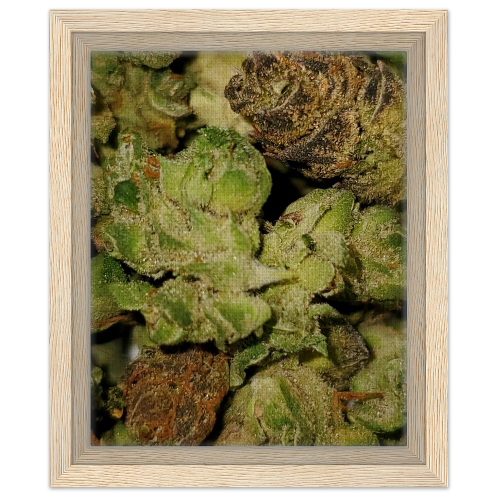 Framed Canvas 20x25 cm / 8x10″ - GO! WITH NIKO LLC