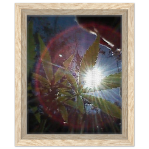 3e52ad21-a546-4e69-87f6-c32bcf33c7ca