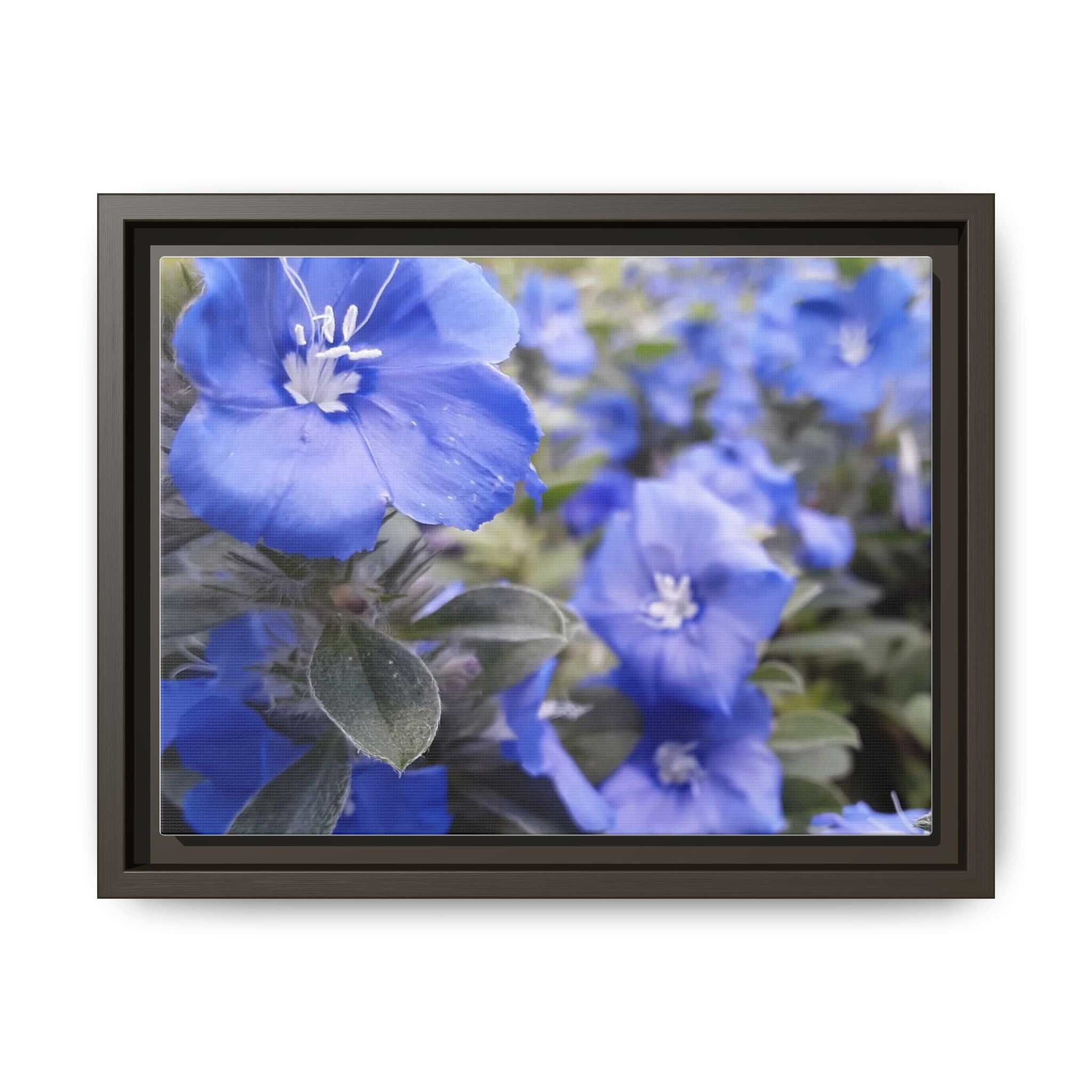 Framed Blue Floral Matte Canvas Wall Art — Vibrant Botanical Photography Print