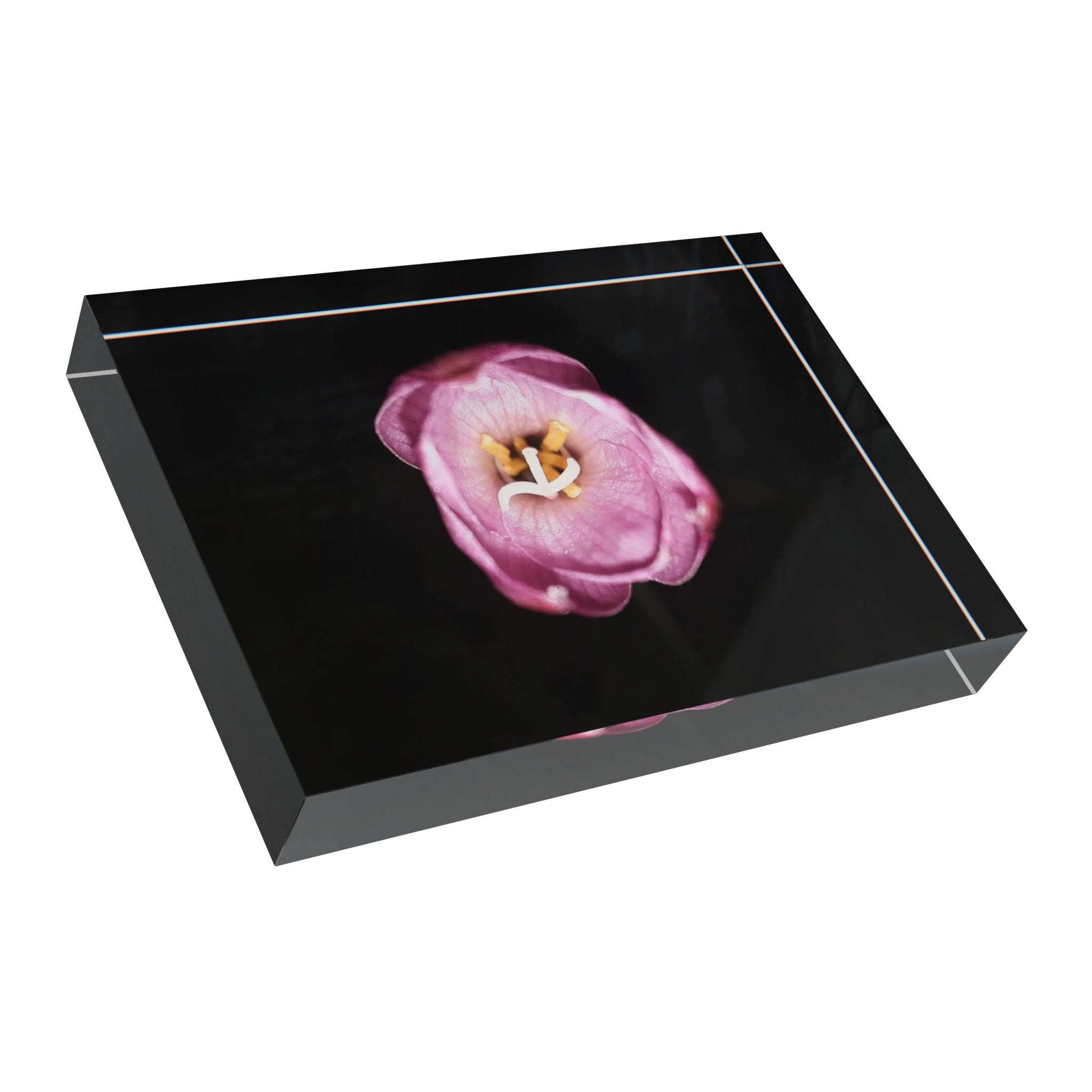 Photo Block - Pink Tulip Minimalist Wall Art (Floral Photography Home Decor)