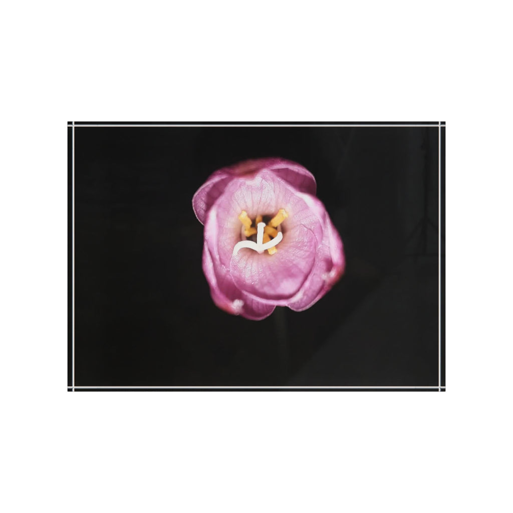 Photo Block - Pink Tulip Minimalist Wall Art (Floral Photography Home Decor)