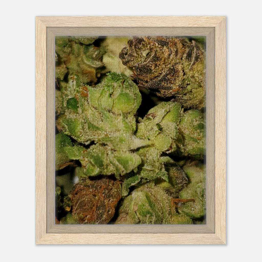 Framed Canvas 20x25 cm / 8x10″ - GO! WITH NIKO LLC