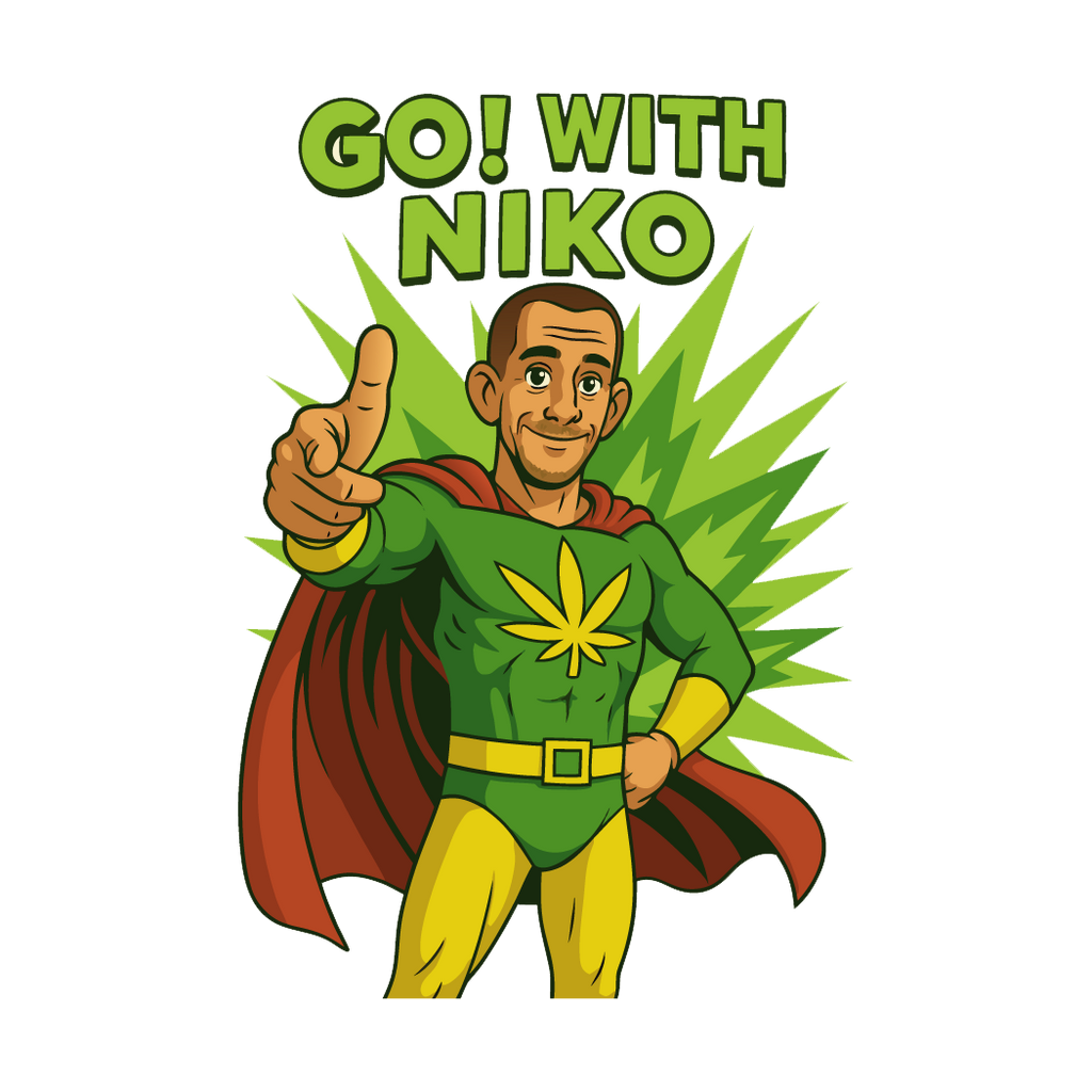 GO! WITH NIKO ERRAND/HAULING SERVICE
