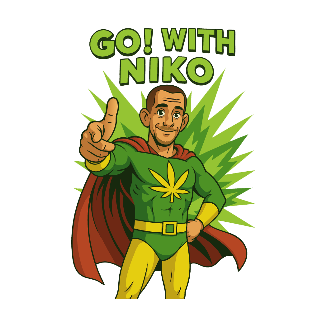 GO! WITH NIKO ERRAND/HAULING SERVICE